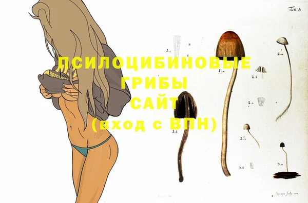 индика Алексин