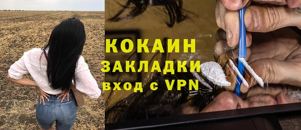 прущие крисы Аркадак
