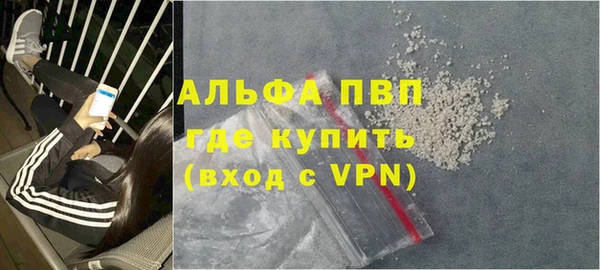 индика Алексин